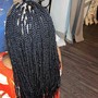 Marley/kinky/Havana twists medium midback