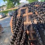 Marley/kinky/Havana twists medium midback