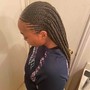 Marley/kinky/Havana twists medium midback