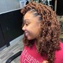 Short Butterfly Locs