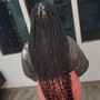 Jumbo Knotless Braids