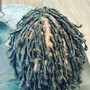 Starter Locs for adult (coils)