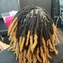 Starter Locs for adult (coils)