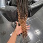 Root Touch Up