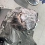 Razoring, Hot Towel Service, Men's Cut, Shampoo and Style, Facial