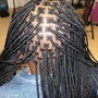 Poetic Justice Braids