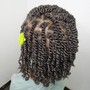 Two Strand Twists