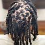 Starter Locs