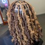 Loc Coils