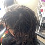 Extra Small Starter locs