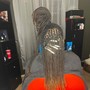 Starter Locs