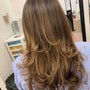 Single Process Color no blow dry