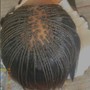 Jumbo Senegalese Twist