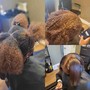 Root Touch Up