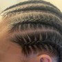 Straight back stitch braids