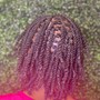 Two Strand Twists/Natural Hair