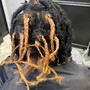 Root Touch Up