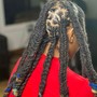 Adult starter Locs on at neck to shoulder length