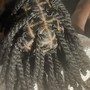 Loc Coils starter locs