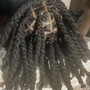 Loc Coils starter locs