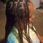 Poetic Justice Braids