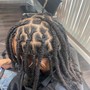 Starter Locs