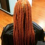 Adult Medium Havana Twists