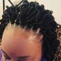 Kid's Crochet Braids and 2 Strand Twist