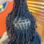 Flat Twist Updos