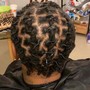 2 Strand twist Starter Locs