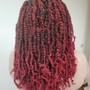 Faux Loc Half and Half