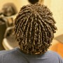 Passion twists hair included