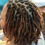 Dreadlock Retwist (No Style)