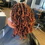 Root Touch Up