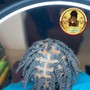 Loc Braids