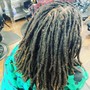 Starter Dreadlocks (non-afro textured hair)