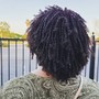 Loc retwist