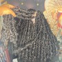 Passion twist (hair included in price)