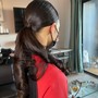 Sleek Ponytail - Hair Included