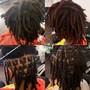 Starter Locs(L)