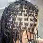 Poetic Justice Braids