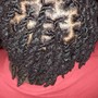 Starter Locs (Medium)