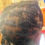 Two strand twists (Locs)