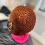 Root Touch Up