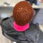 Root Touch Up