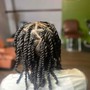 2 strand twist natural hair