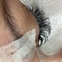 Classic Eyelash Fill