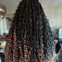 Crochet Braids/Twists