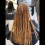 Root Touch Up