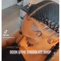 2 Feed In Braids